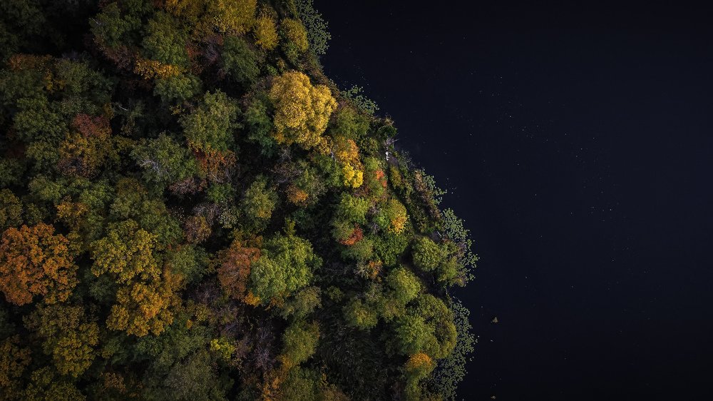 Фотография автора Дмитрий Тимошин