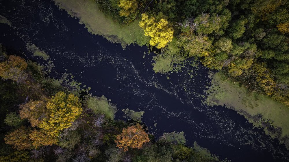 Фотография автора Дмитрий Тимошин