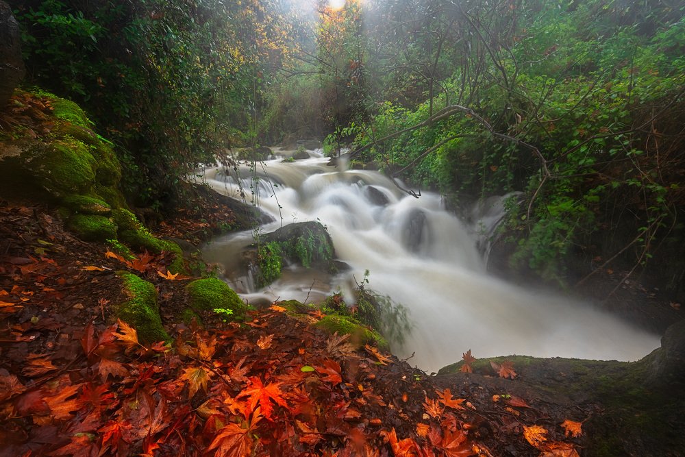 Photograph by Amos Ravid