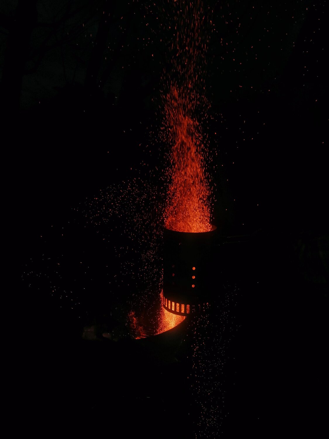 Photo #5053528