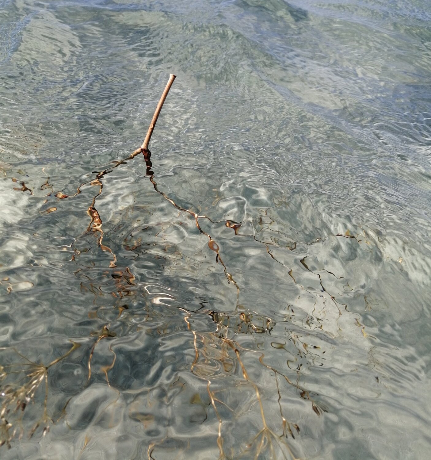 Photo #5053543