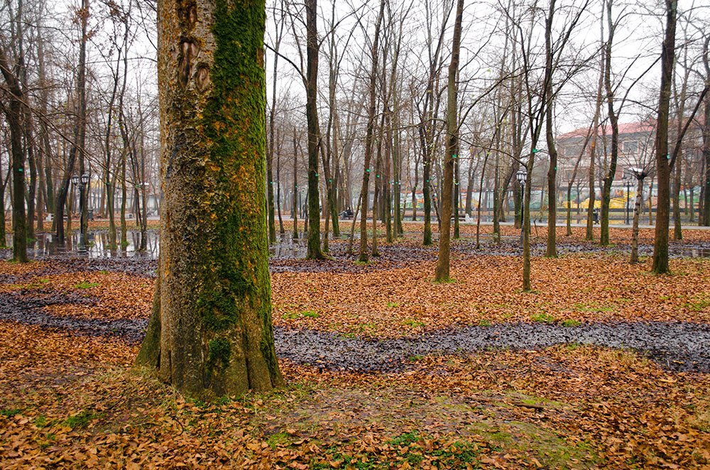 Photograph by Sahar Jafari