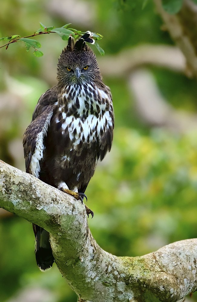 Attitude makes you different