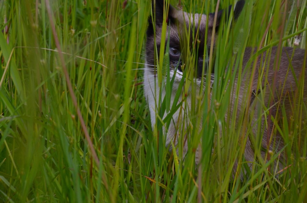 Photograph by Valentina