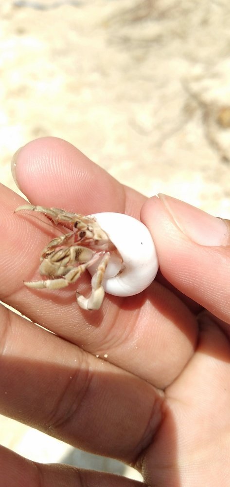 Photo #5053662