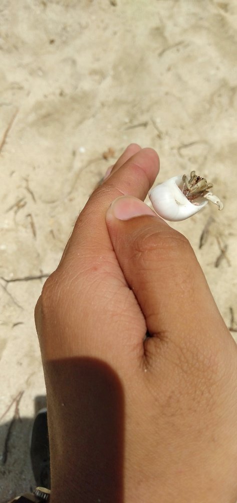 Photo #5053663