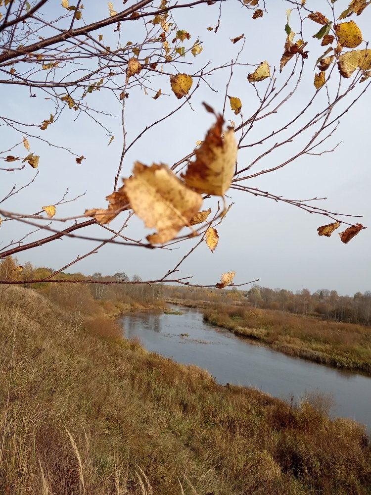 Photograph by Любовь Шаврина