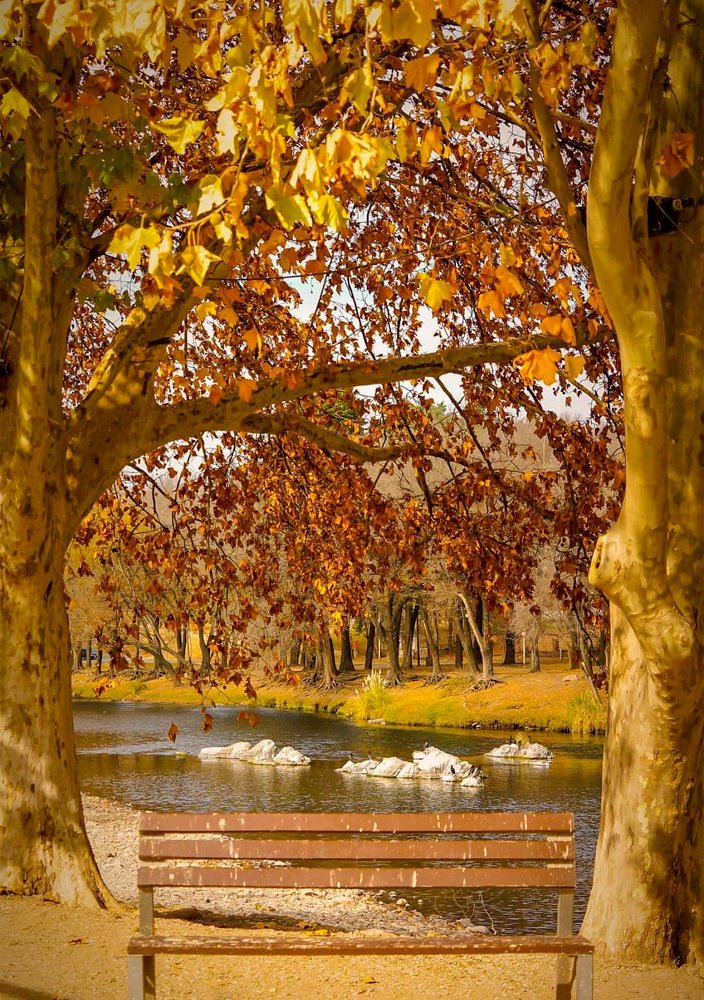 Photograph by Karina Elena Bergagna