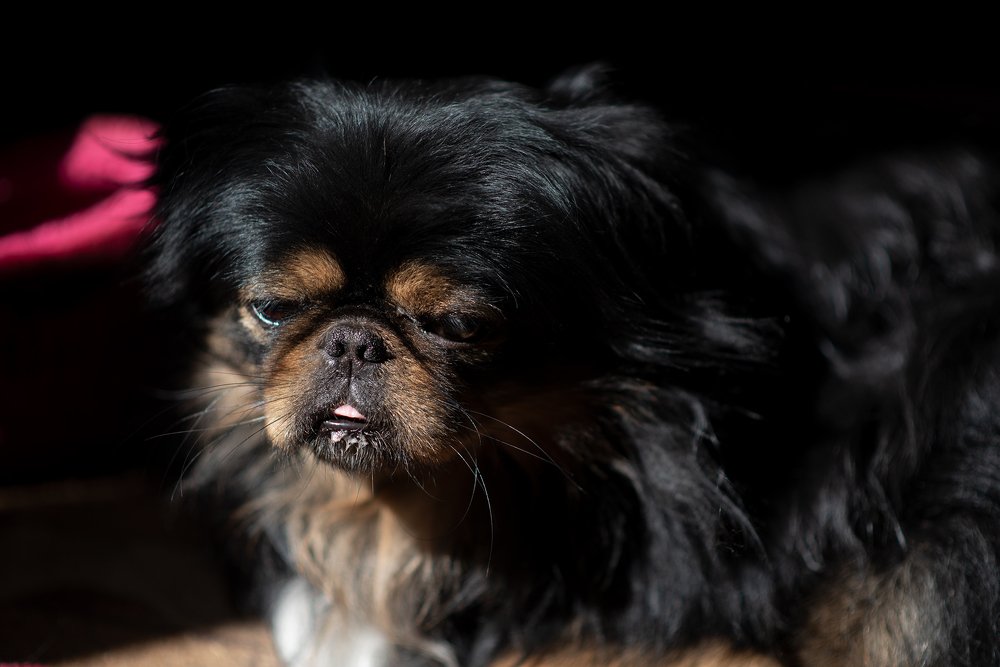 Photograph by Елена Хейликова