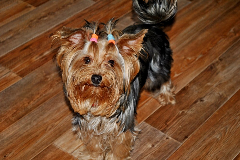 Photograph by Елена Хейликова