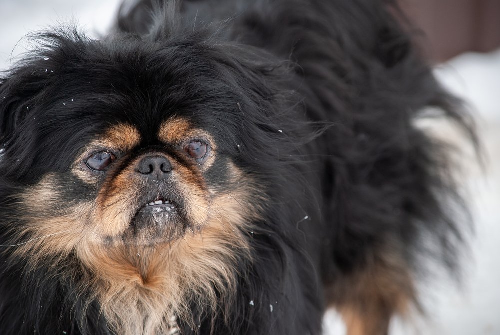 Photograph by Елена Хейликова