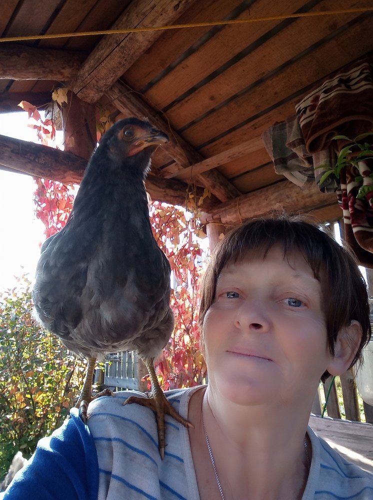 Photograph by Любовь Шаврина