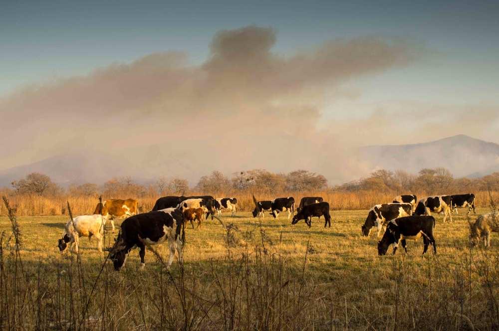 Photograph by Леонид Сидоров
