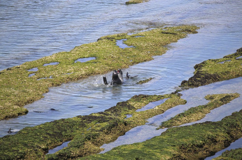 Photograph by Lisiane Kindlein