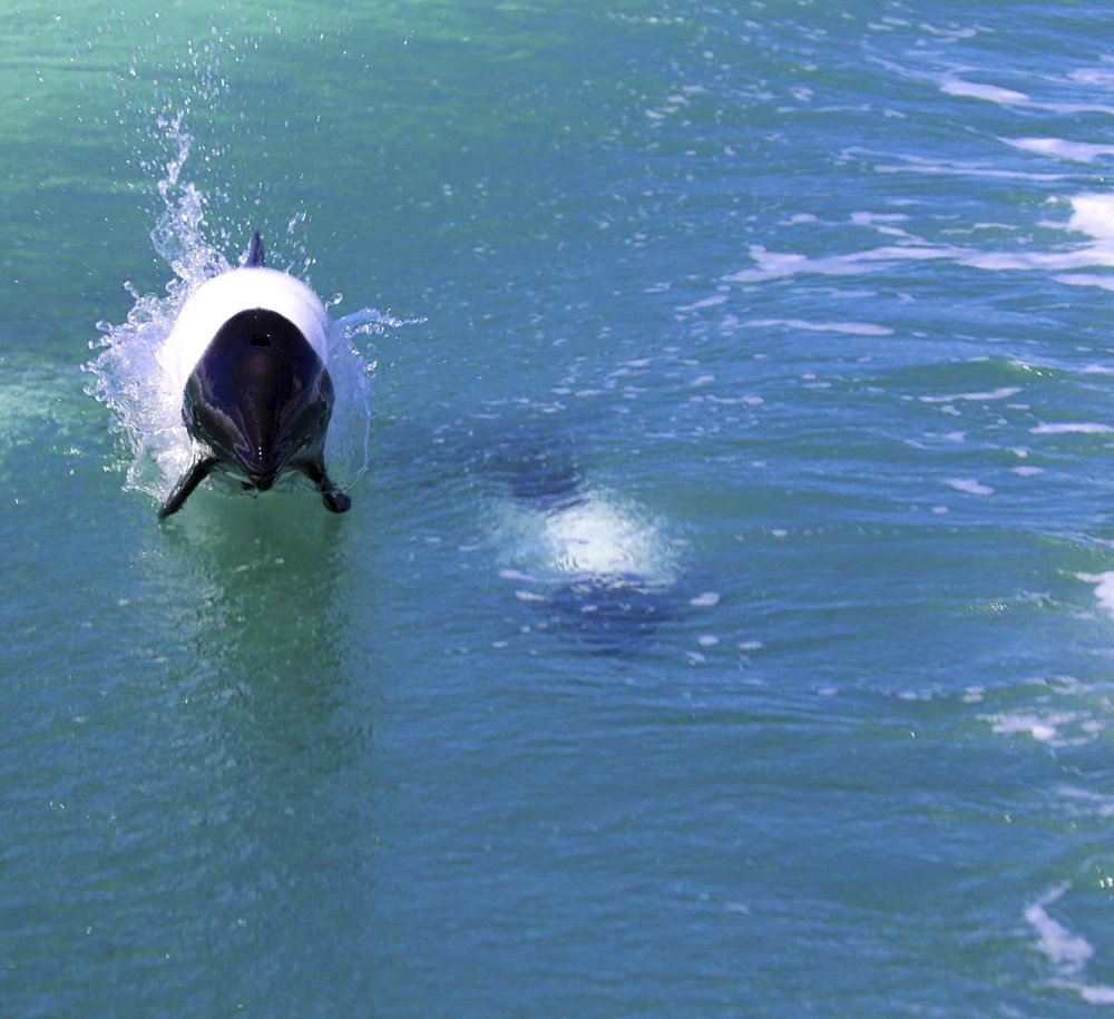 Photograph by Lisiane Kindlein