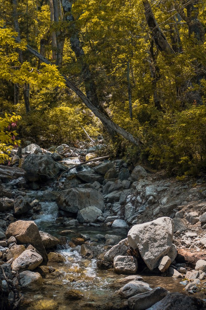OTOÑO EN MENDOZA...