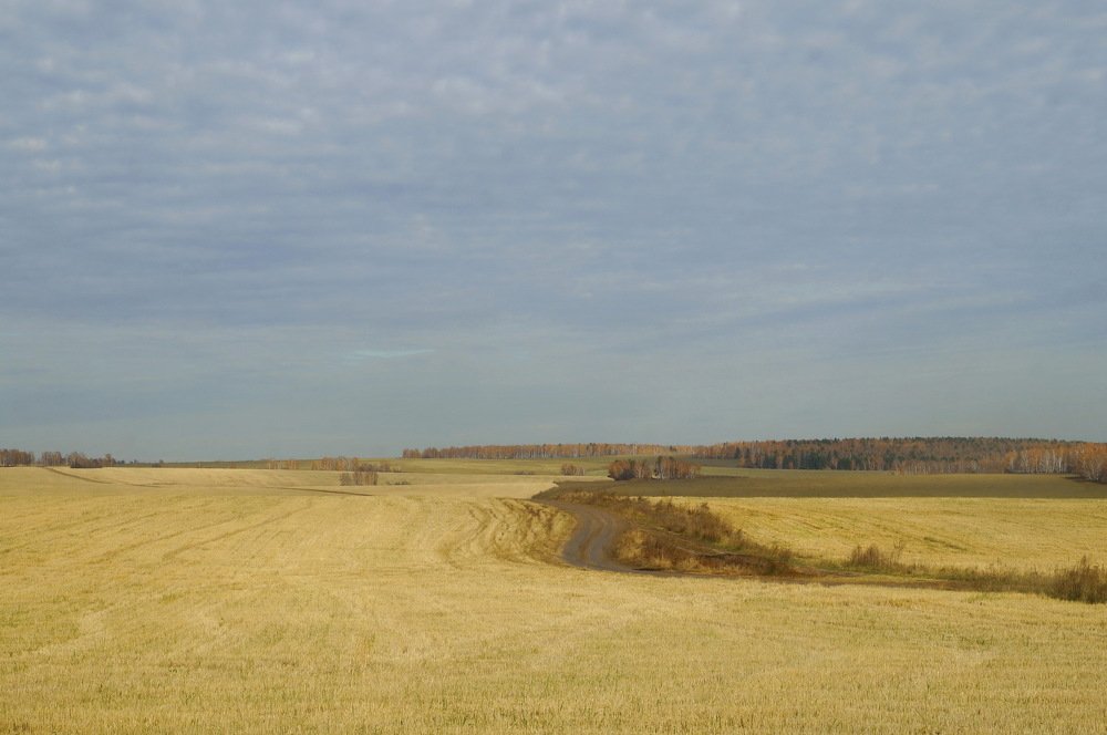 Photograph by Ольга Воронова