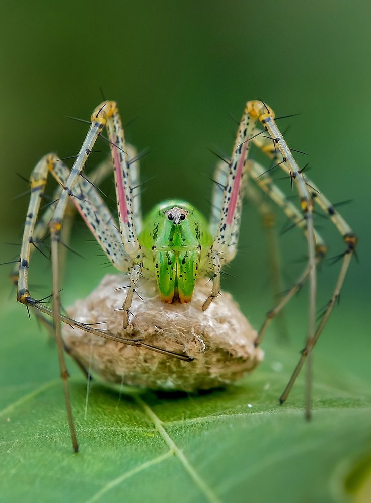 Photograph by UDAY SHANKAR RAKSHIT