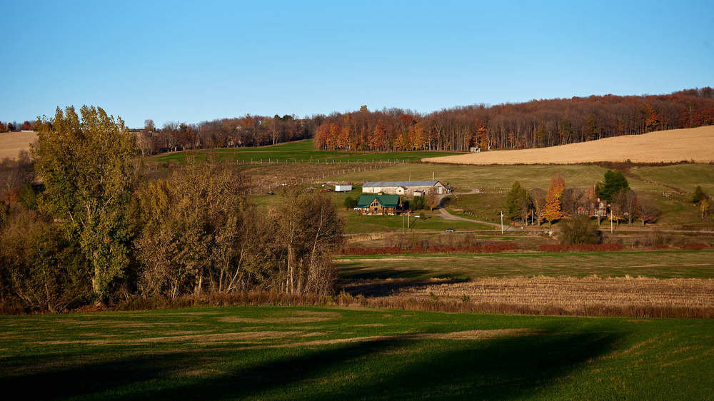 Photograph by Natalia Ghimp