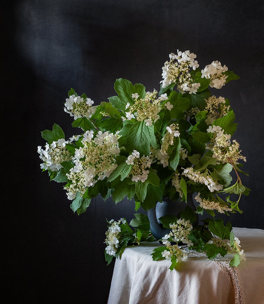 Калина цветет