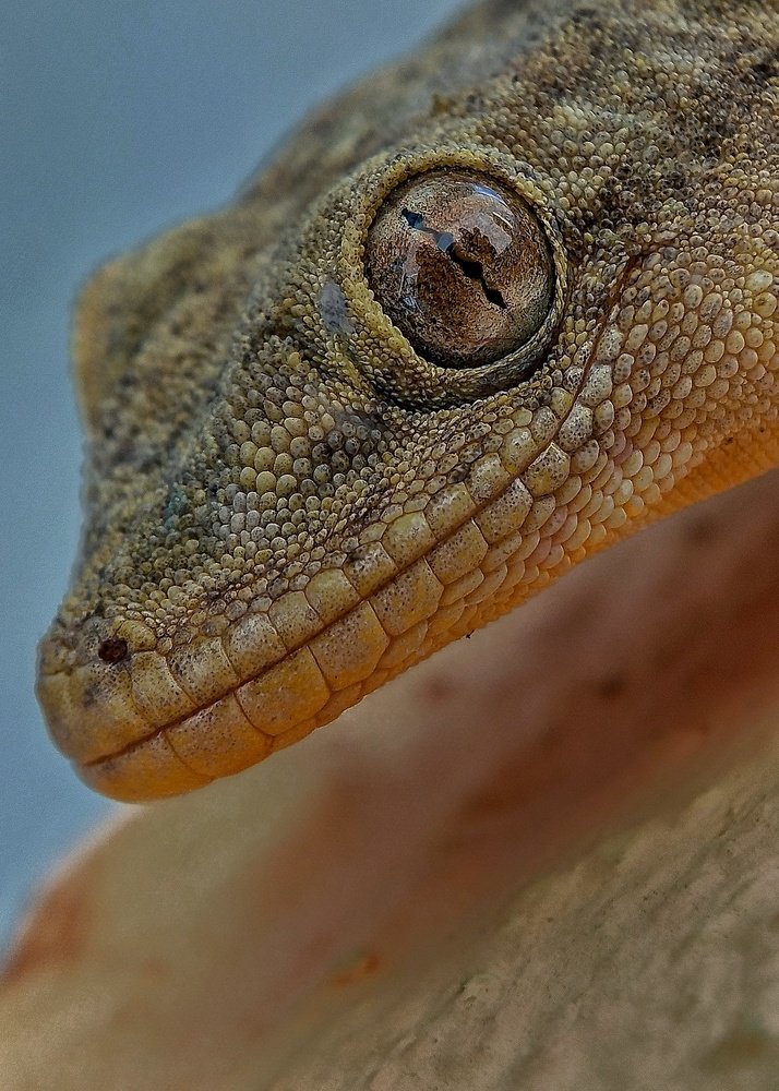 Photograph by UDAY SHANKAR RAKSHIT