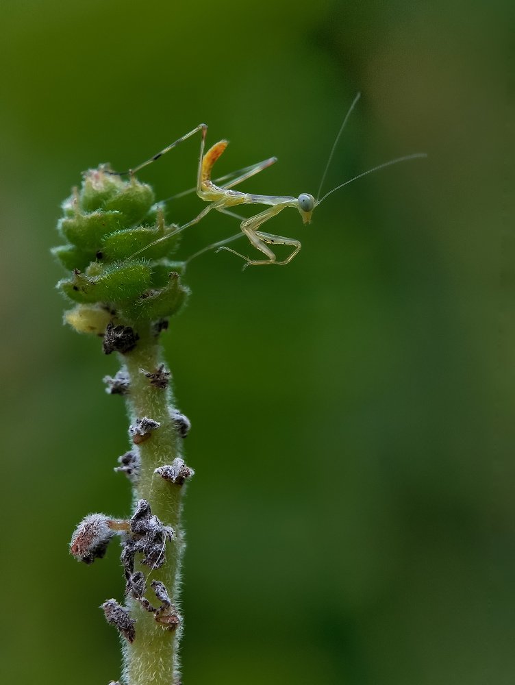 Photograph by UDAY SHANKAR RAKSHIT