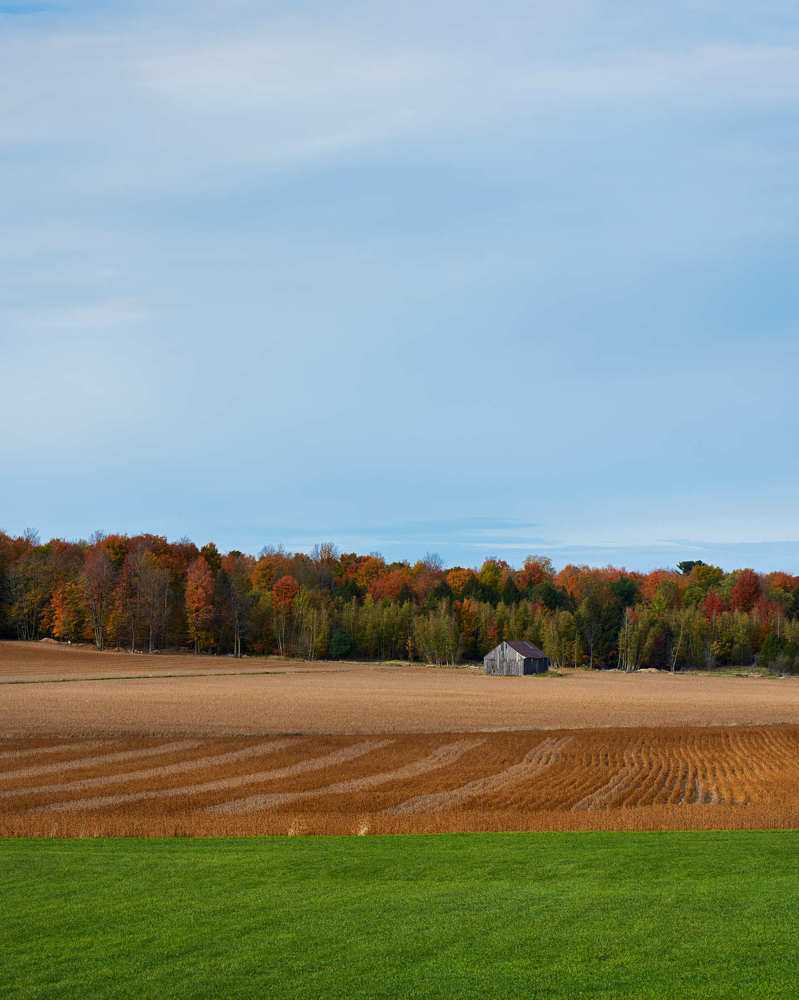 Photograph by Natalia Ghimp