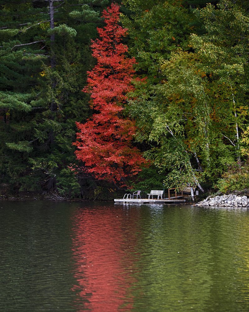 Photograph by Natalia Ghimp