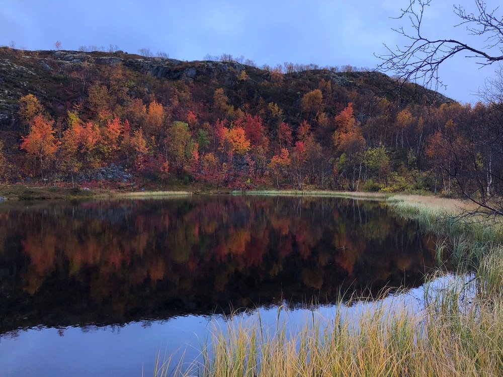 Photograph by Оксана Шеховцова