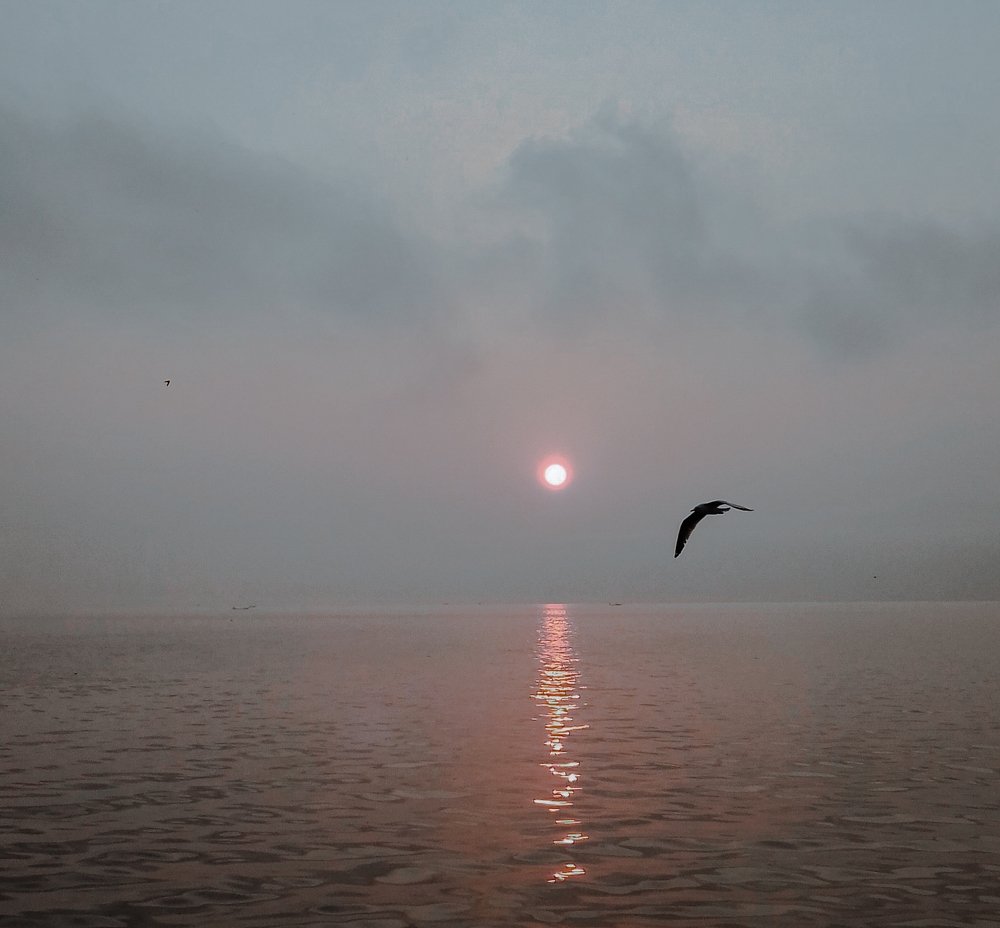 Photo #5054043