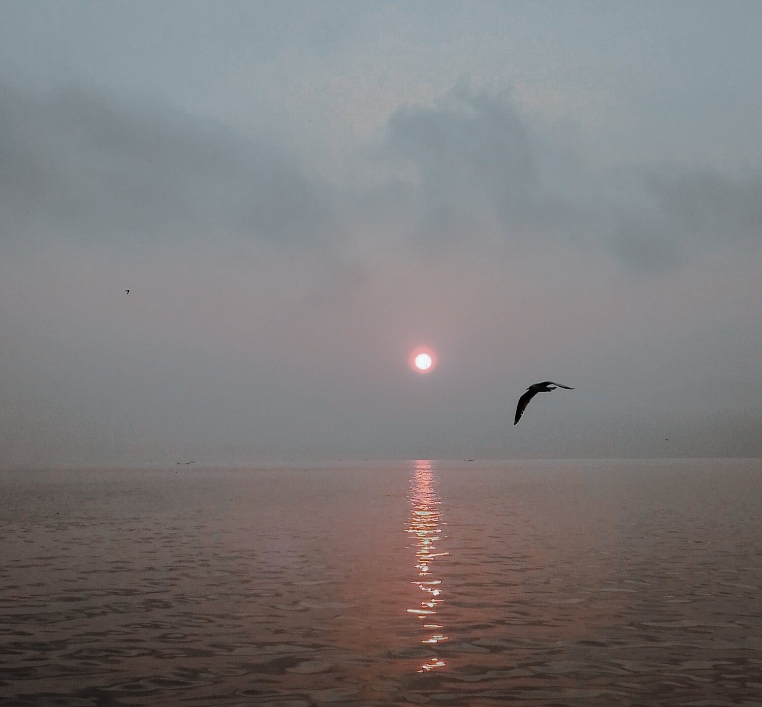 Photo #5054043