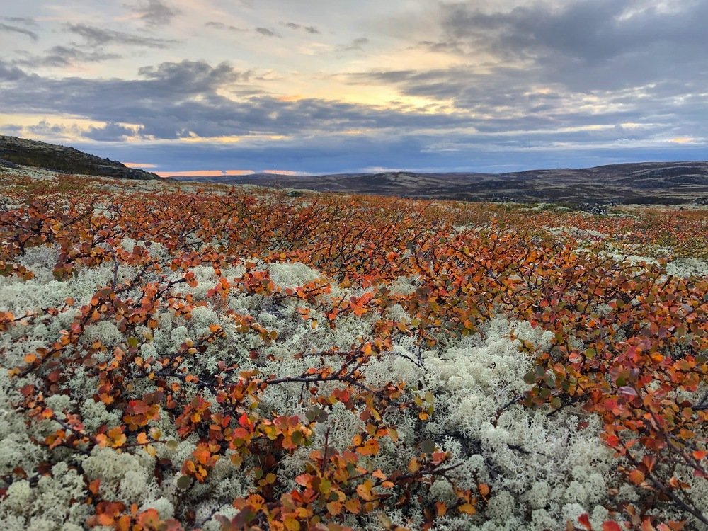 Photograph by Оксана Шеховцова