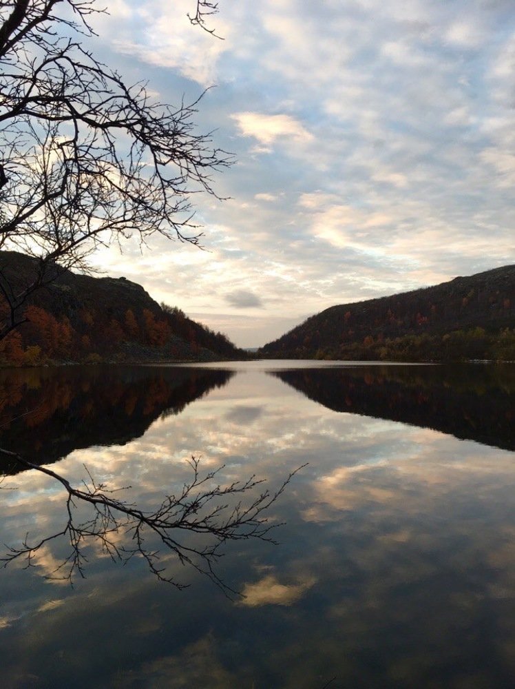 Photograph by Оксана Шеховцова