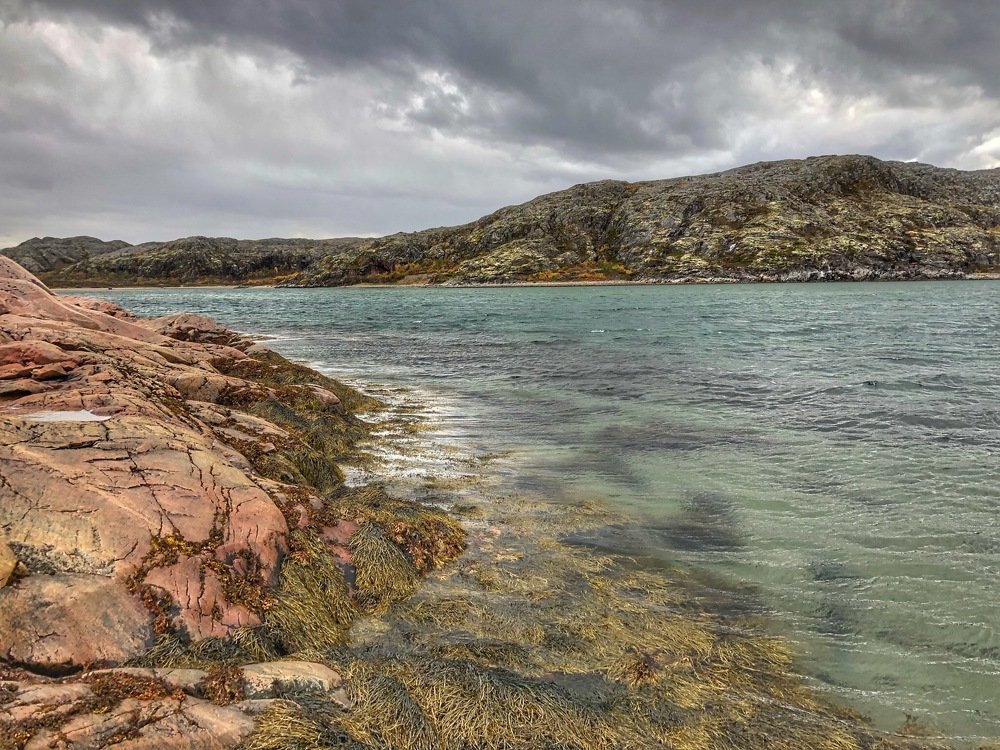 Photograph by Оксана Шеховцова