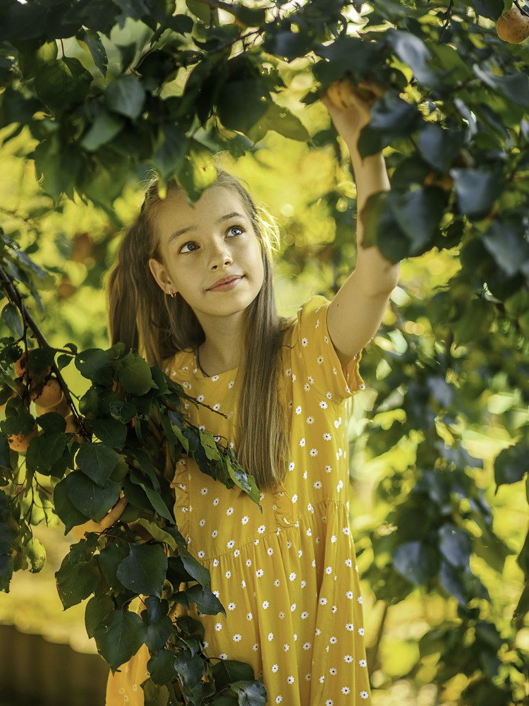 Photograph by Наталья Мещерякова