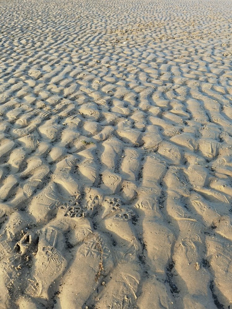 Photograph by Олеся Газиева