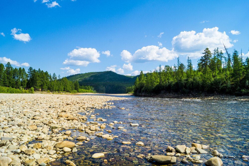 Photograph by Леонид Сидоров