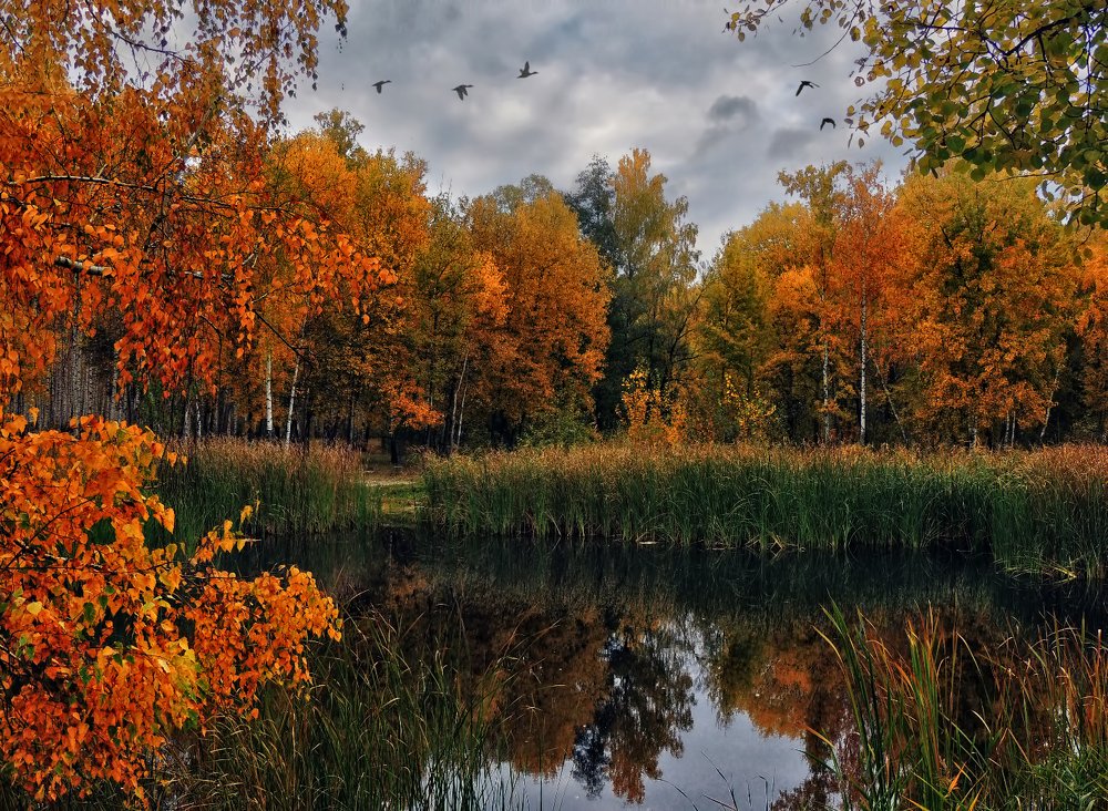 Photograph by Роман Савоцкий