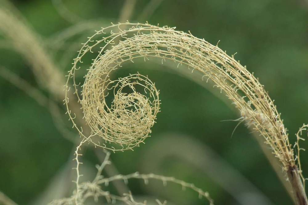 Photograph by Nargiza Karimova