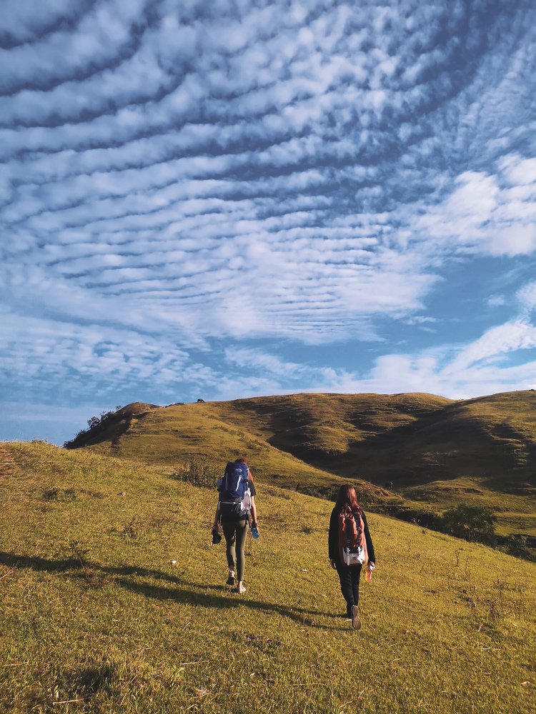 Photograph by Daniel Guillema