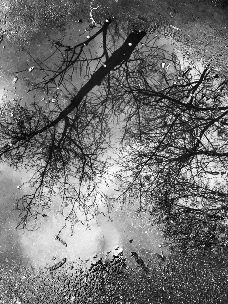 Фотография автора Климентий