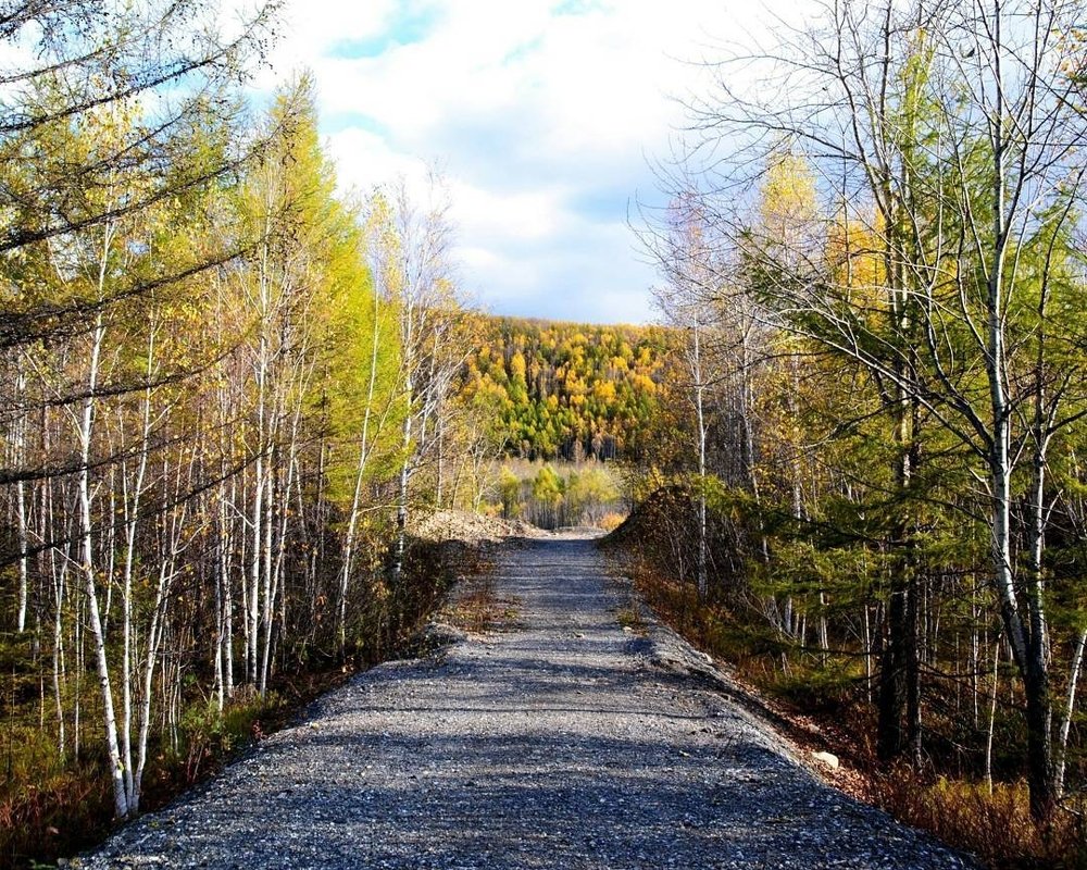 Photograph by Альбина Галинурова