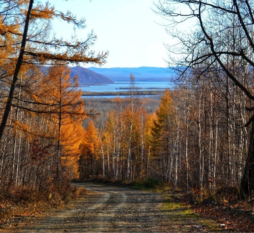 Photograph by Альбина Галинурова