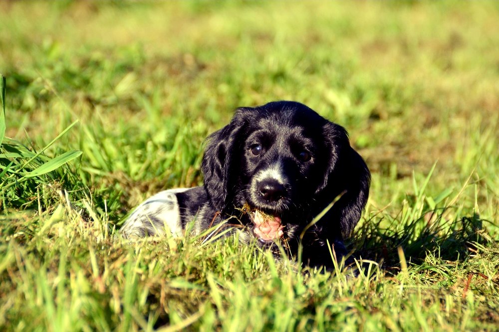 Photograph by Альбина Галинурова