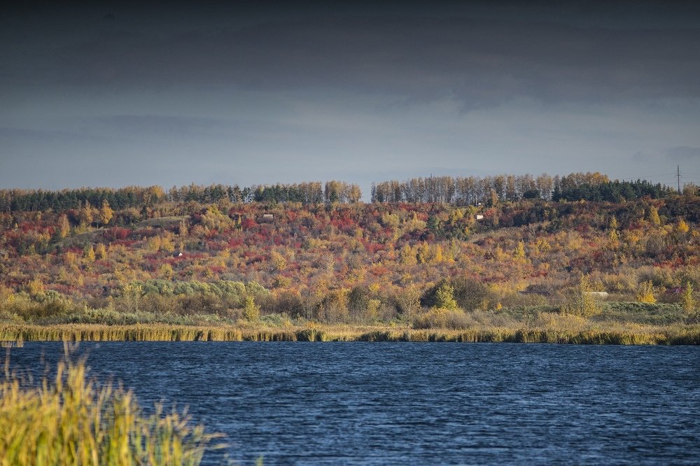 Фотография автора Александр Кременицкий
