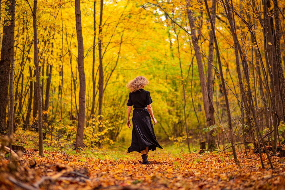 Фотография автора Александр Кременицкий