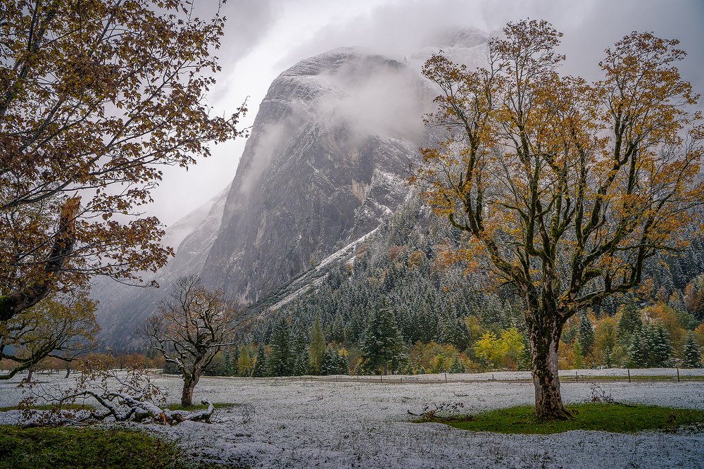 Первый снег