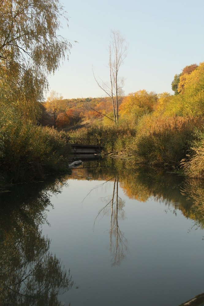 Photograph by Игорь Улитин