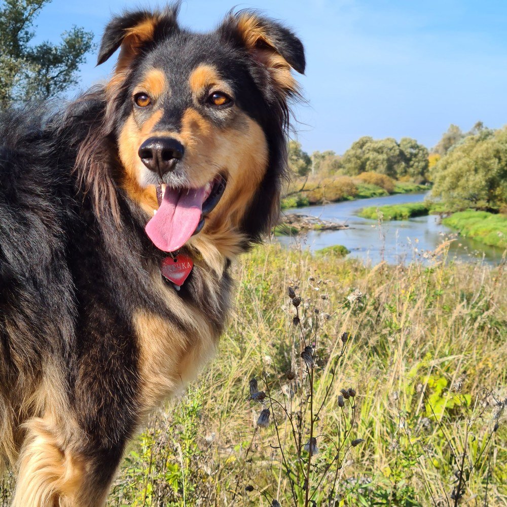 Гаечка на Истре