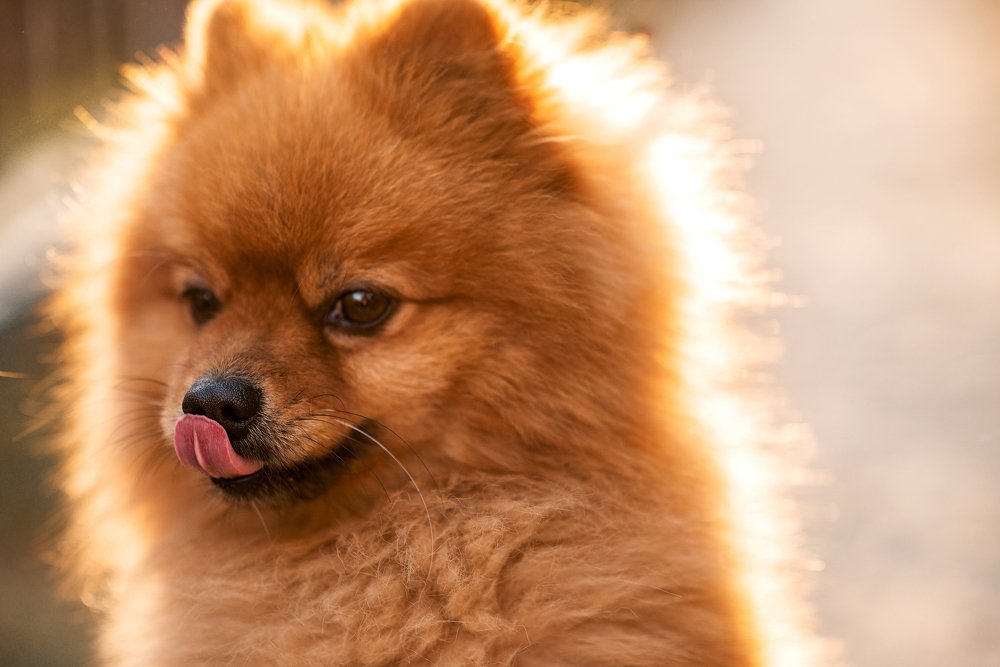 Photograph by Ирина Королева